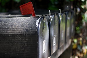Grow Your Email Database the Right Way